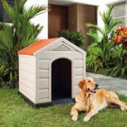 Casas para perros rescatados