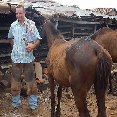 Pro-caballos maltratados