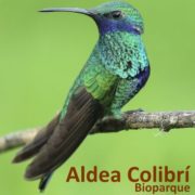 Bioparque Aldea Colibrí