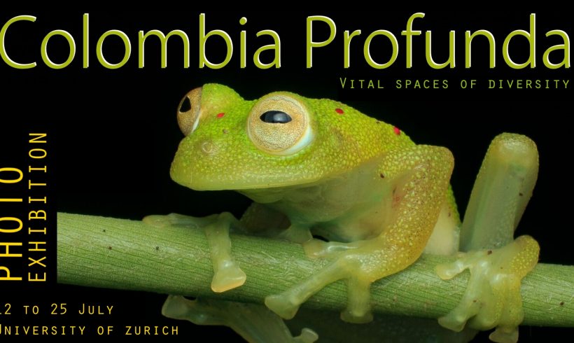 Exposición de fotografía de la naturaleza Exposición de fotografía de la naturaleza